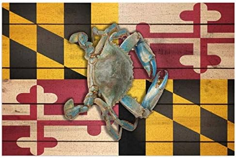 Maryland bayrağı Yengeç Ön Kapı Mat Dayanıklı PVC Paspas Açık Kapalı Giriş Mat Su Geçirmez Giriş Kilim Kaymaz Destek ile Kolay