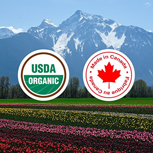 Yüz için Aviesia Organics C Vitamini Serumu - %100 USDA Sertifikalı-Davidson Erikli Organik Yüz Cilt Bakımı-Doğal Cilt Bakımı