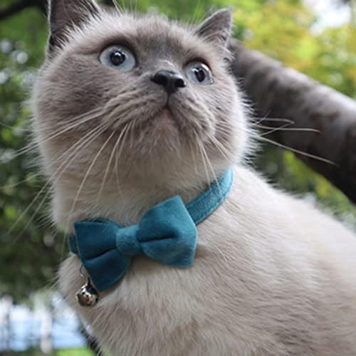 BoloLı Pet Kedi Yavru Kadife Yaka İlmek ile Pet papyon Kedi Flanel Yaka ile Çan (Mavi, 1 Adet)
