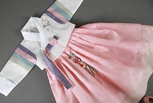 Kız Hanbok Bebek Kore Geleneksel Elbise Pastel Kollu üzerinde Çok Renkler Ilk Doğum Günü Dol 1-10 Yaş Çocuk