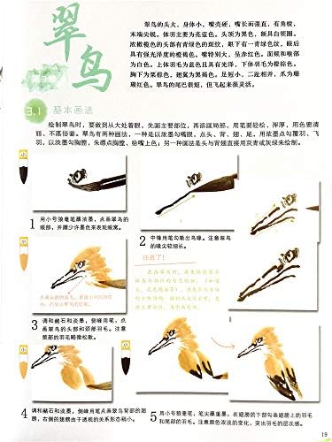 Hmayart Kendi Kendine Öğretilen Çin Geleneksel Resim Kitabı / Oryantal Sumi Sanat Kursu Kümes Hayvanları ve Kuş Nasıl Boyanır