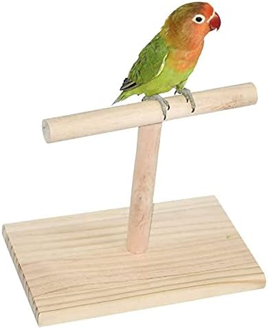 VALİNK Papağan Standı, Ahşap Kuşlar Eğitim Raf T-tipi Küçük Masaüstü Kuşlar Standı Perche Cockatiels Kanaryalar için Uygun