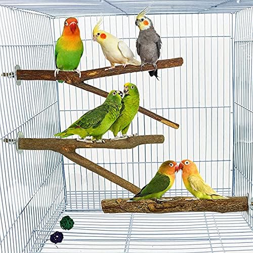 Kuş Oyun Alanı Papağan Oyun Ahşap Papağan Oyun Standı 5 Pcs Ahşap Kuş Oyuncak Kuş Tünek Standı - Sopa Sağlık ve Güvenlik kuş