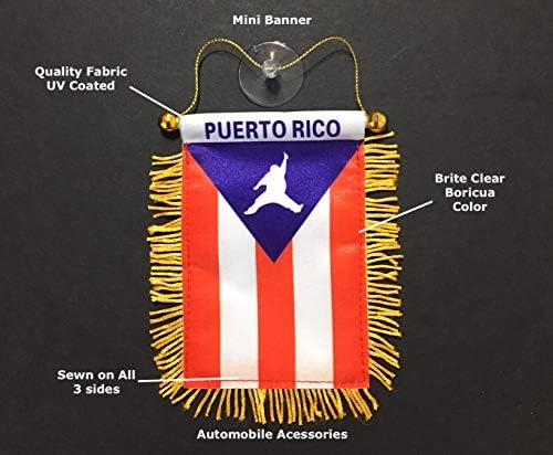 Porto Riko Bayrağı araba Aksesuarları için Reggaeton NYRican Hip Hop NY Rican Bayrağı Boricua PR Porto Riko Bayrağı Arabalar